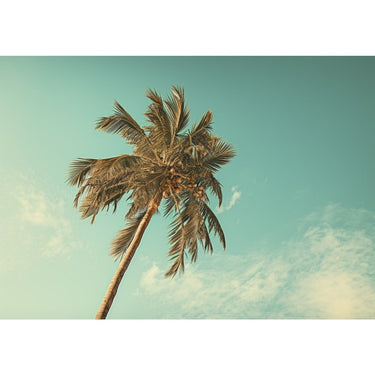 Large Palm Tree canvas